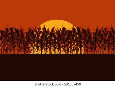 Corn Field Evening Or Morning Light Landscape Vector Background