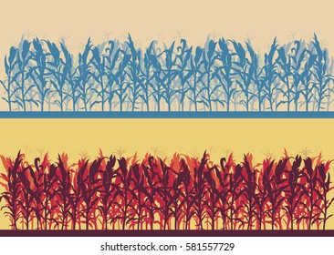 Corn field evening or morning light landscape vector background set
