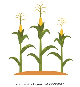 Corn field icon clipart avatar logtotype isolated vector illustration