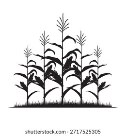 Ilustración de campo de maíz aislado sobre fondo blanco