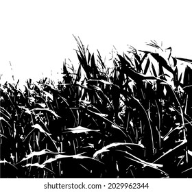 Corn field. Silhouettes of nature. Vector illustration