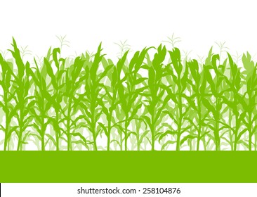 Corn Field Vector Background Ecology Green Concept