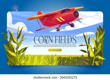 Corn fields banner with green cereal plants and red airplane. Vector poster with agriculture cornfield and flying biplane. Farmland with plantation of maize and aircraft jet in sky