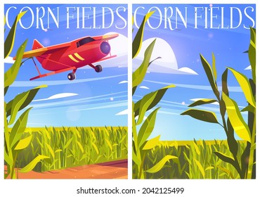 Corn fields posters with red airplane and green cereal plants. Vector cartoon banners with agriculture cornfield and biplane in sky. Farmland with plantation of maize and flying aircraft