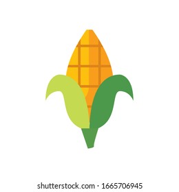 Corn fill style icon design, Food vegetable agriculture green plant maize cob and organic theme Vector illustration