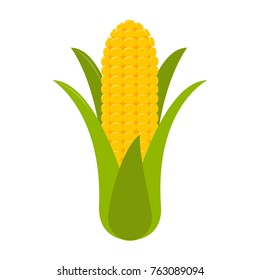corn flat design icon isolated on white background