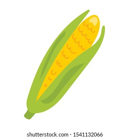 corn flat icon on white background. You can be used corn icon for several purposes.