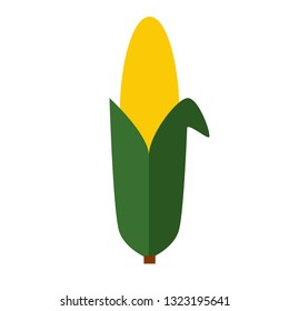 corn flat simple illustration. Home and kitchen series. Tableware food and dishes.