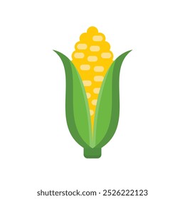 Corn flat vector illustration isolated on white background