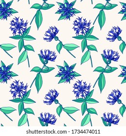 Corn Flowers Seamless Pattern. Hand Drawn Floral Background.