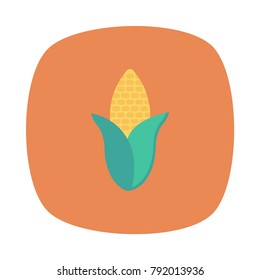 corn food vegetable 