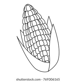 corn fresh isolated icon