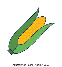 Corn fresh vegetable blue lines