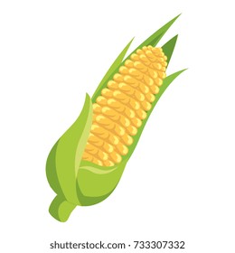 corn fresh vegetable icon