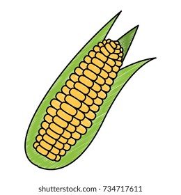 corn fresh vegetable icon