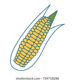 corn fresh vegetable icon
