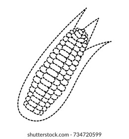 corn fresh vegetable icon