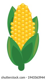 corn fresh vegetable isolated icon