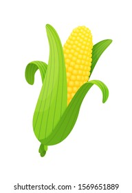Corn fresh vegetable vector concept. Healthy diet flat style illustration. Isolated green food, can be used in restaurant menu, cooking books and organic farm label