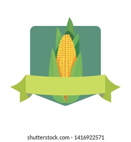 corn fresh vegetables icon vector ilustrate