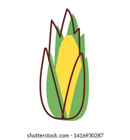 corn fresh vegetables icon vector ilustrate