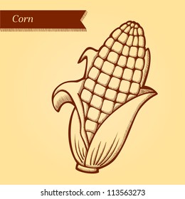 Corn, fresh vegetables. Retro style. Easily editable vector. Vegetable on the yellow retro background. Isolated vector. For menu.
