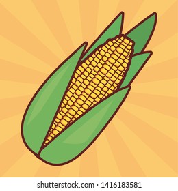 corn fresh vegetables vector ilustration