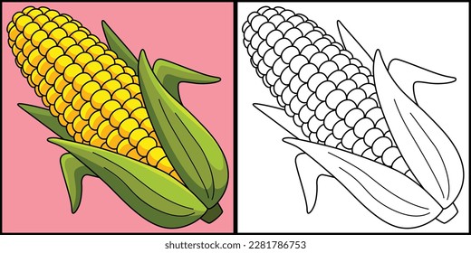 Corn Fruit Coloring Page Colored Illustration