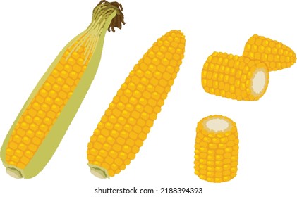 Corn fruit is important as a staple food, sweets, and raw materials for sake. Also used as feed, starch and oil