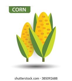 Corn, fruit vector illustration
