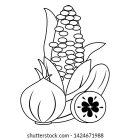 Corn garlic and cucumber fresh vegetables vector illustration graphic design