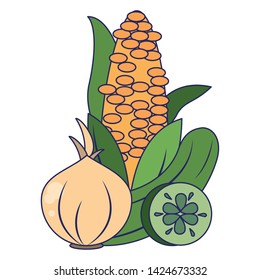 Corn garlic and cucumber fresh vegetables vector illustration graphic design