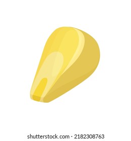 Corn grain in cartoon style. One seed of corn on the cob. Seeds and organic food