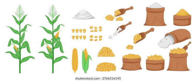 Corn grains collected in jute bags, cereal products, and maize crops harvested. flour, grain pile