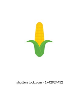 Corn graphic design template vector isolated