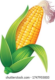 Corn With Green Cover half peel vector illustration