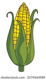 Corn green isolated on white background