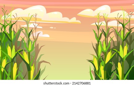 Corn grows in field. Frame with place for text. Harvest agricultural plant. Food product. Farmer farm illustration. Rural summer field landscape. Vegetable garden cultivation. Vector.