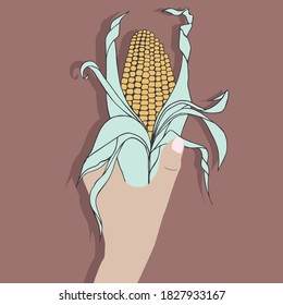 Corn in hand. Color vector image of a beautiful corn on a brown background.