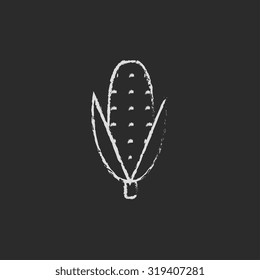 Corn hand drawn in chalk on a blackboard vector white icon isolated on a black background.
