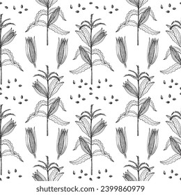 Corn hand drawn seamless pattern. Vector repeating background with corn cobs, kernels, cereal plant branch. Agricultural crop, harvesting, healthy food, maize field, sweet corn flakes, porridge