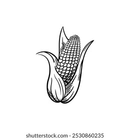 Icono de Vector de alimentos dibujado a mano de maíz