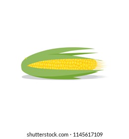 Corn, harvest related vector illustration