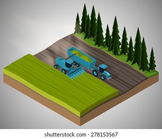 Corn harvester and agricultural tractor harvests of corn in the field. Equipment for agriculture.
