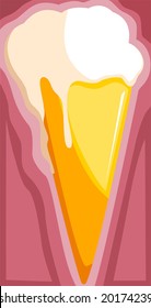 corn ice cream with shade back ground	