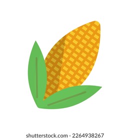 Corn icon. Biofuel icon. Vector.