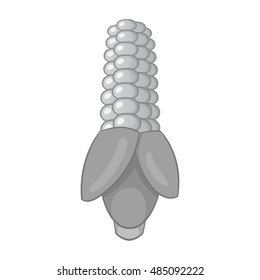Corn icon in black monochrome style isolated on white background. Food symbol vector illustration