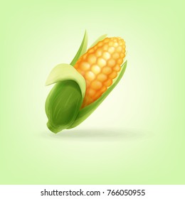 corn icon cartoon