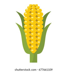 Corn icon in cartoon flat style isolated object vegetable organic eco bio product from the farm vector illustration