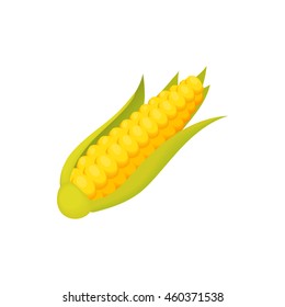 Corn icon. Cartoon illustration of corn vector icon isolated on white background. Food symbol